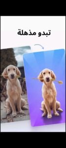 تحميل تطبيق PhotoRoom للأندرويد APK.2025 فوتو روم اخر اصدار 4